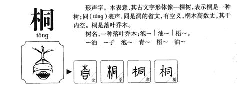 桐五行|桐的五行属什么,桐字的五行属性,桐的寓意